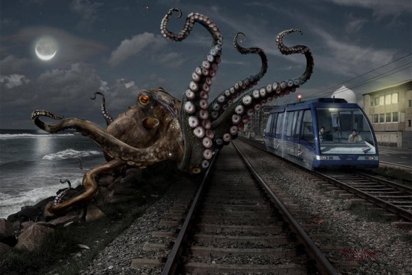 Kraken 12