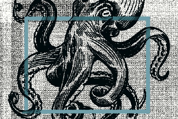 Kraken вывод денег